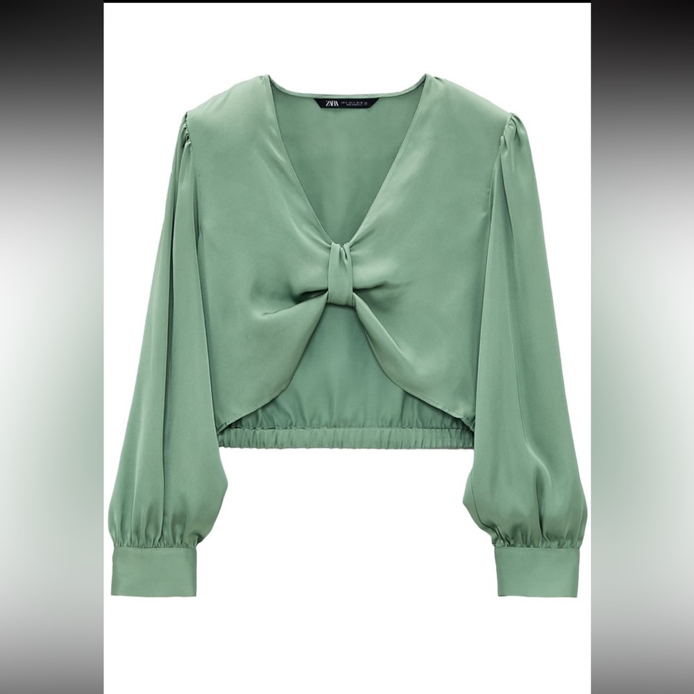 NWT Zara Satin Crop Top